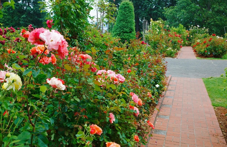 dba7442914781207ec68d476cb81c6ad