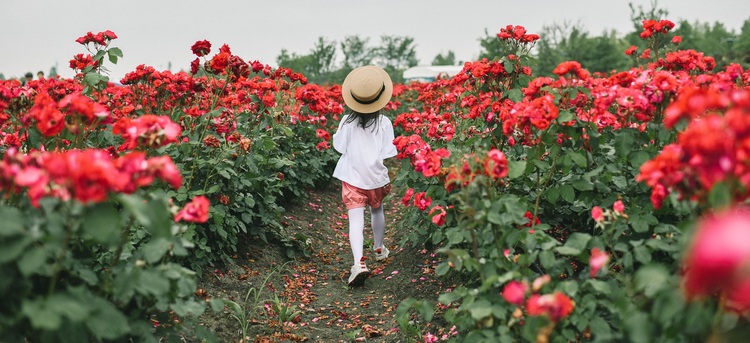 7ef6cba7f589e0d7ab1503a523dd05d9