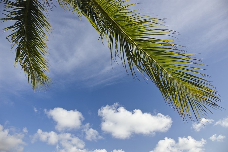 大沼泽地国家公园2