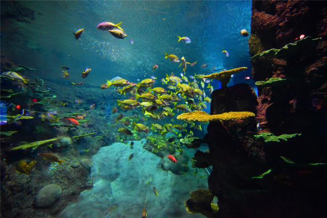 蜂蜜浏览器_bb7f27a3b6f2bdd8aa5f75afe6352d21 蜂蜜浏览器_bb7f27a3b6f2bdd8aa5f75afe6352d21