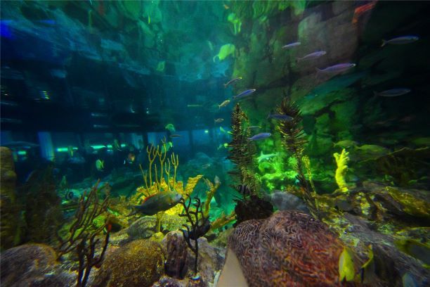 水族馆